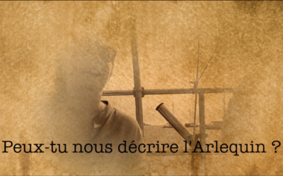 Le voilier Arlequin